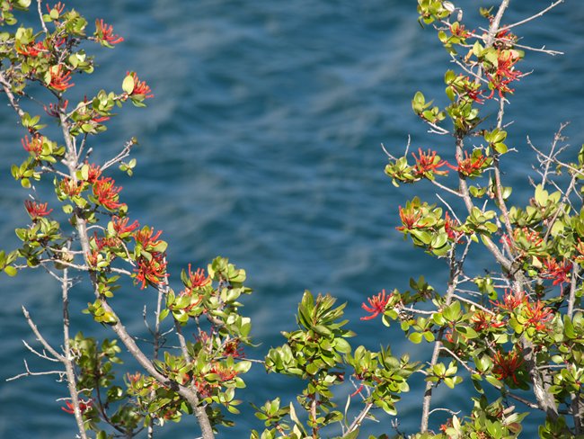 ../../Pictures/231209/023 Lago General Carrera.JPG